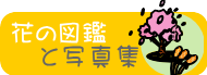 花の図鑑と写真集